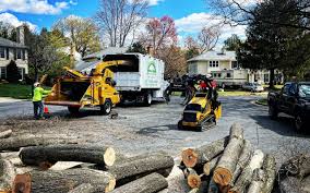 Best Hazardous Tree Removal  in Troy, AL