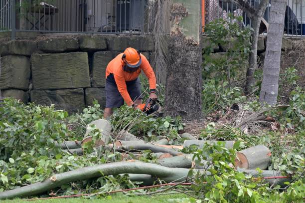 Best Commercial Tree Services  in Troy, AL